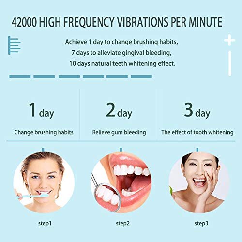 Premium Ultrasonic Sonic Electric Toothbrush