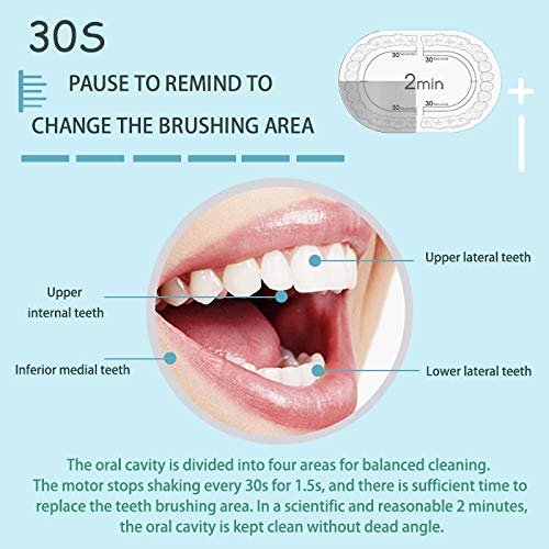 Premium Ultrasonic Sonic Electric Toothbrush
