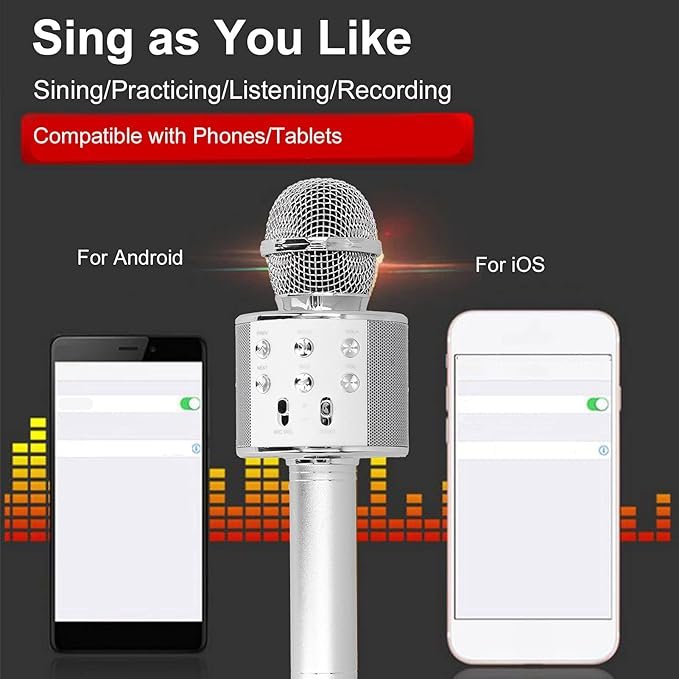 WS-858 Wireless Karaoke Microphone
