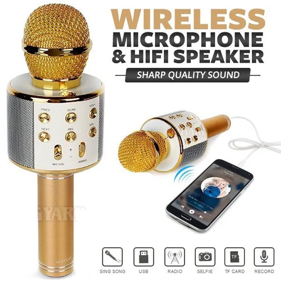WS-858 Wireless Karaoke Microphone