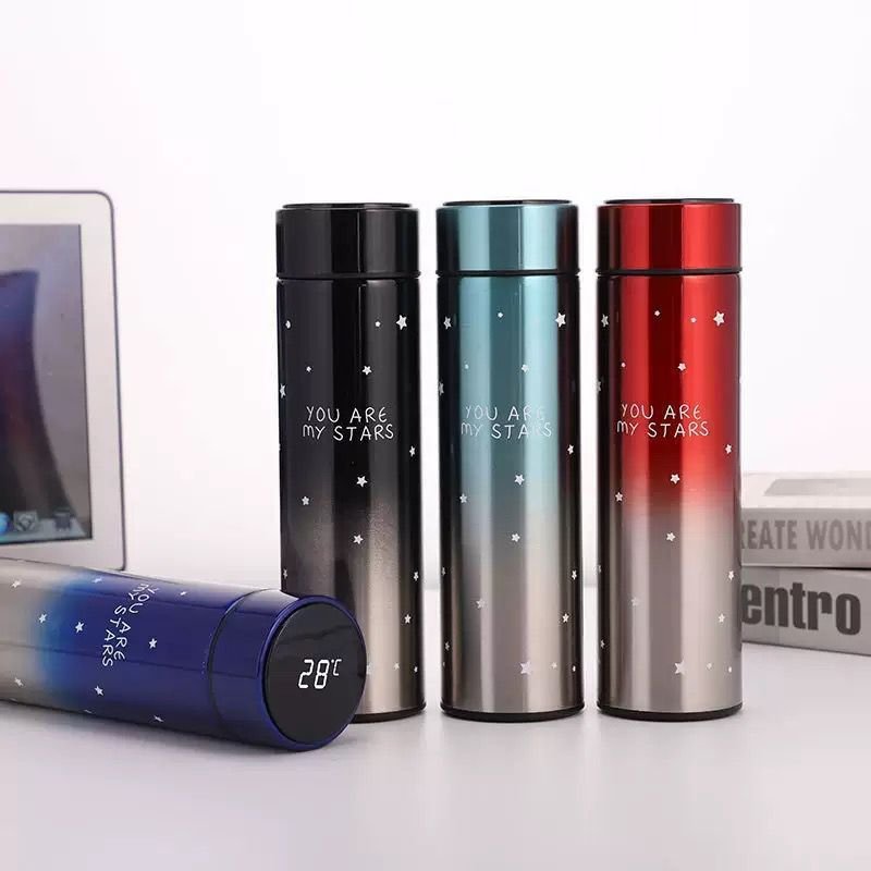 SMART LED Temperature Display Vacuum Flask