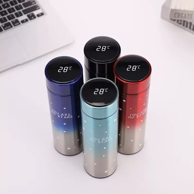 SMART LED Temperature Display Vacuum Flask
