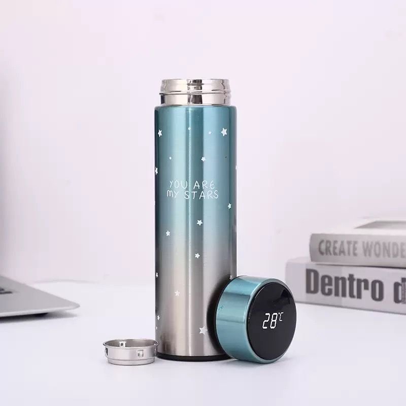 SMART LED Temperature Display Vacuum Flask