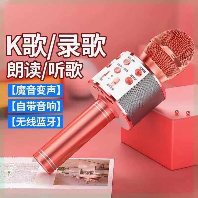 WS-858 Wireless Karaoke Microphone